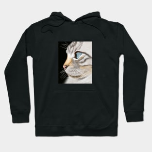 Cat's Eye Hoodie